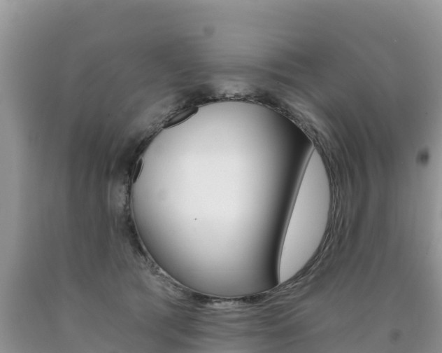 X0000090720417200707201018