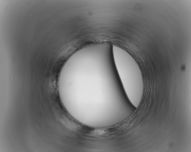 X0000090720418200707201018