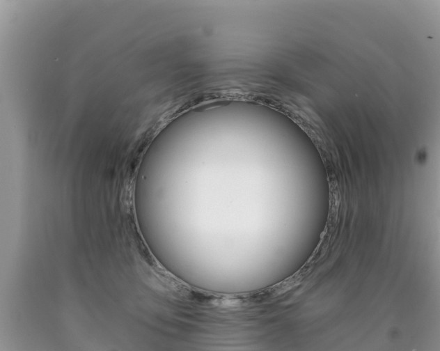X0000090720419200707201018