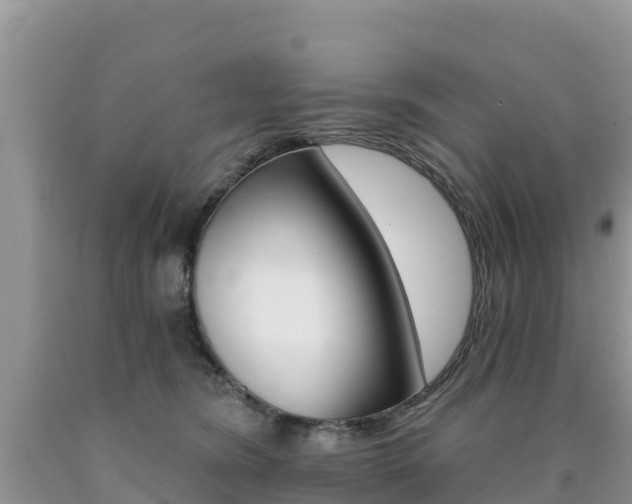 X0000090720420200707201018