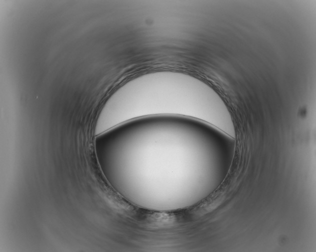X0000090720421200707201018