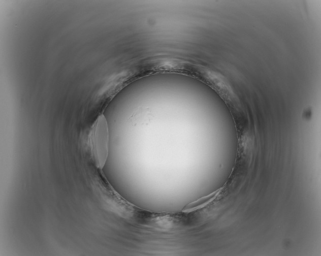 X0000090720423200707201018