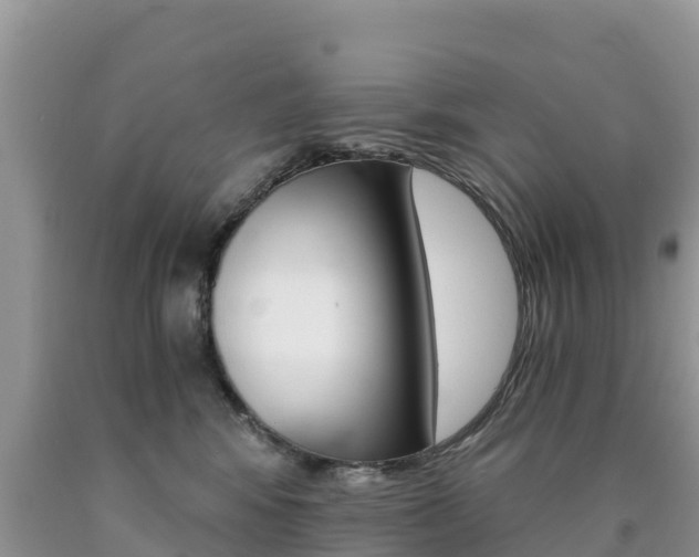 X0000090720424200707201018