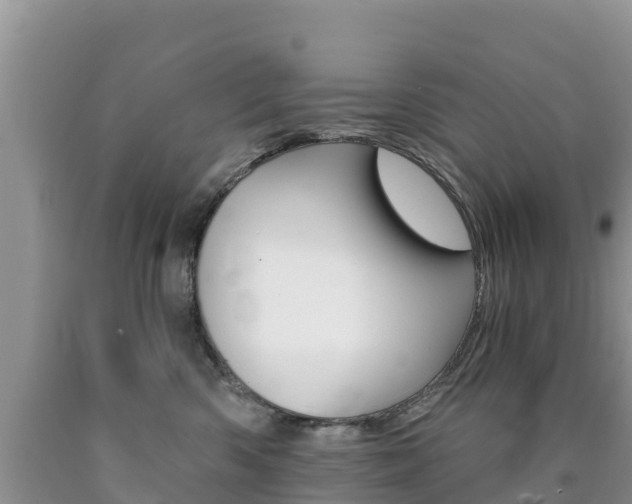 X0000090720426200707201018