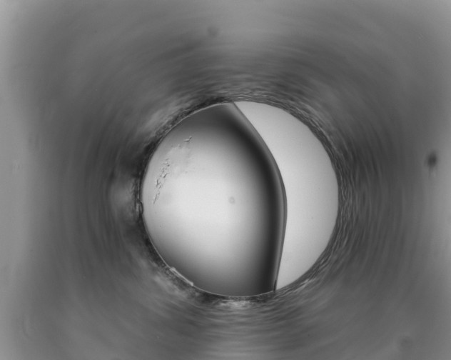 X0000090720428200707201018