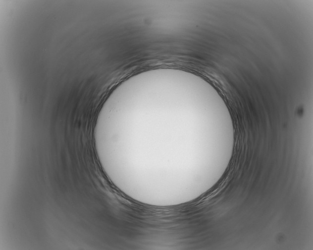 X0000090720429200707201018