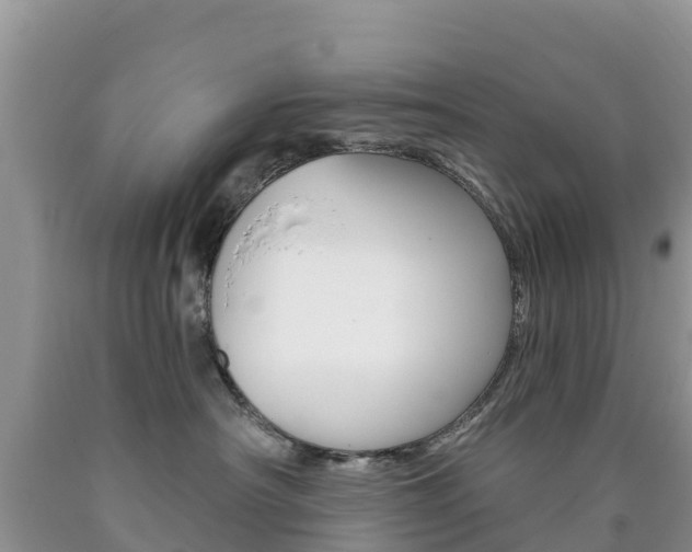 X0000090720430200707201018