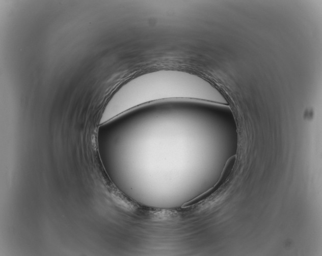 X0000090720432200707201018