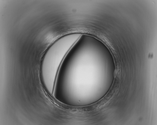 X0000090720434200707201017