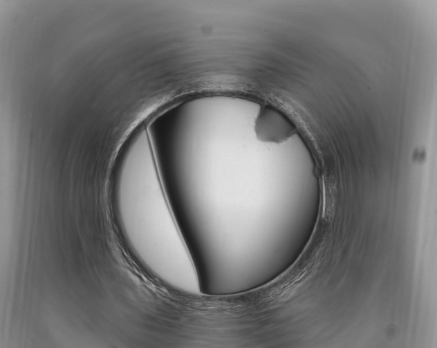 X0000090720435200707201017