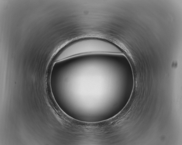 X0000090720436200707201017