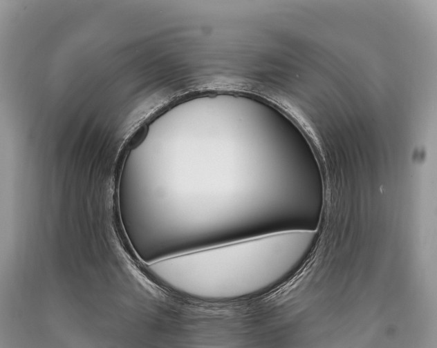 X0000090720437200707201017