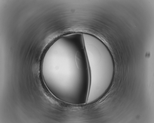 X0000090720438200707201017