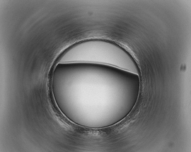 X0000090720439200707201017