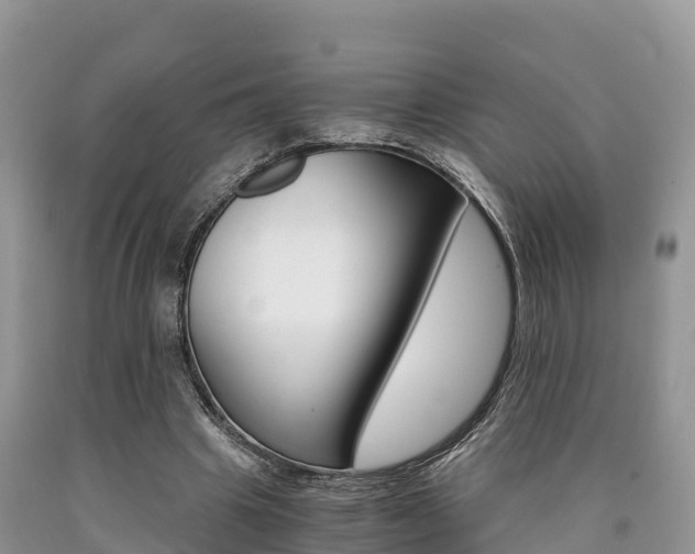 X0000090720441200707201017