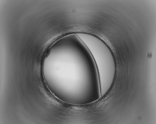 X0000090720442200707201017