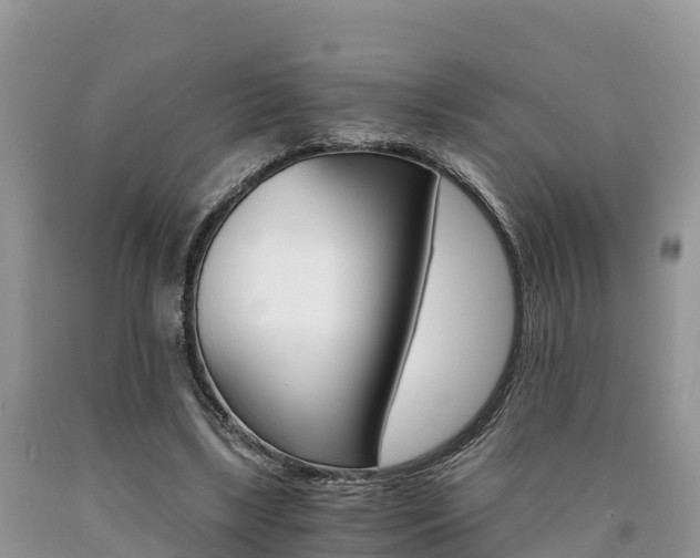 X0000090720443200707201017