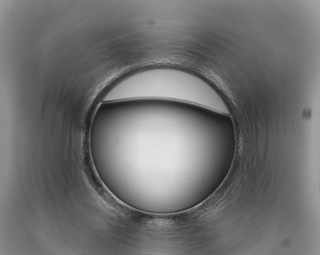 X0000090720444200707201017