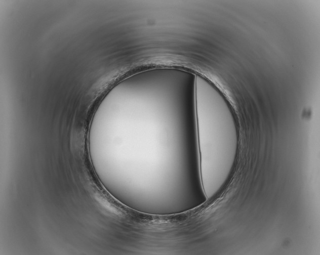 X0000090720445200707201017