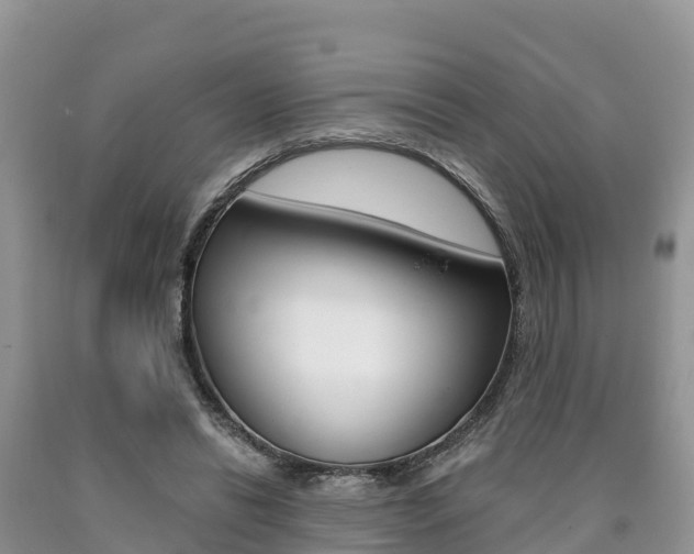 X0000090720446200707201017