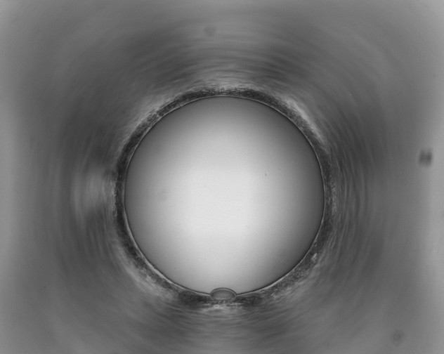 X0000090720447200707201017