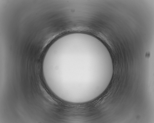 X0000090720448200707201017