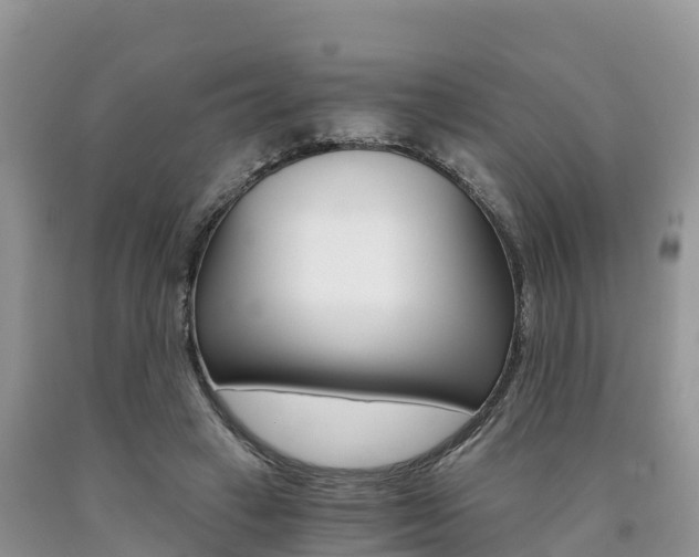X0000090720449200707201017