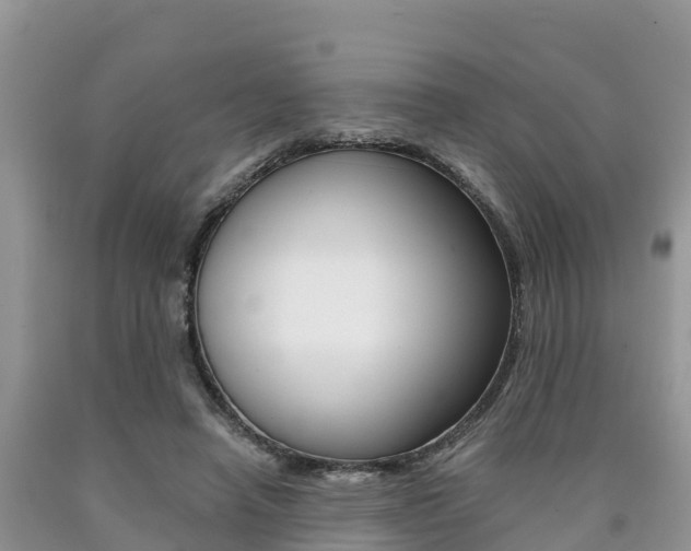 X0000090720450200707201017