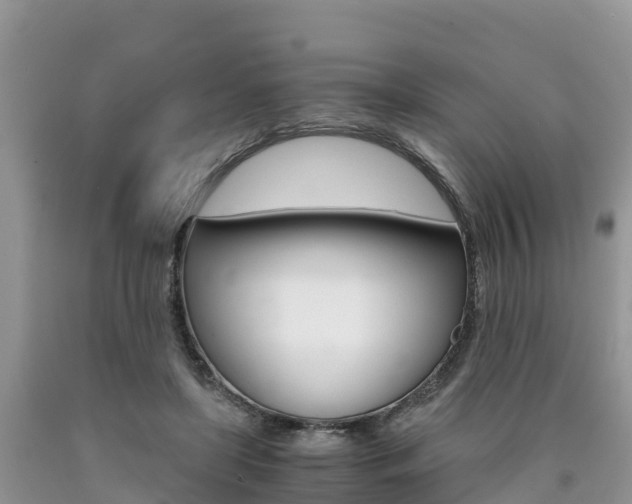 X0000090720451200707201017