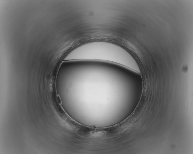 X0000090720452200707201017