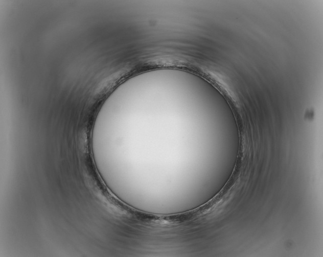 X0000090720453200707201017
