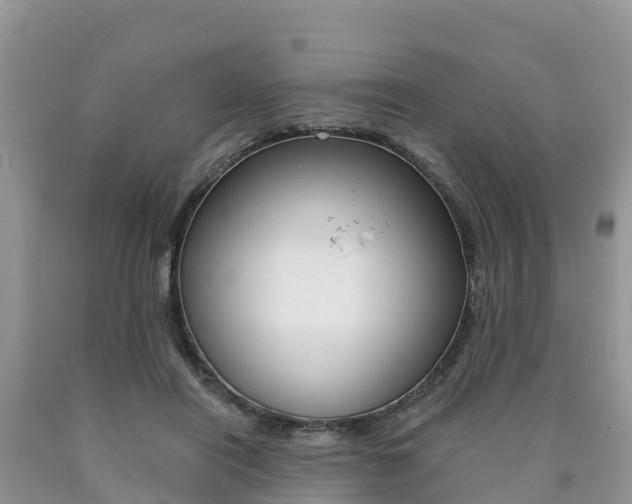 X0000090720454200707201017