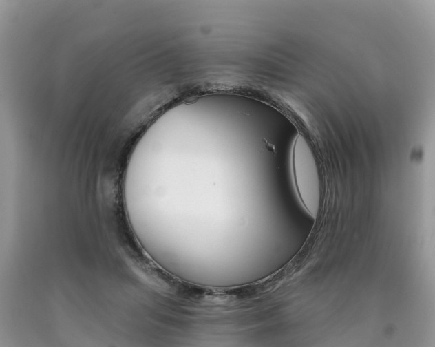 X0000090720455200707201017