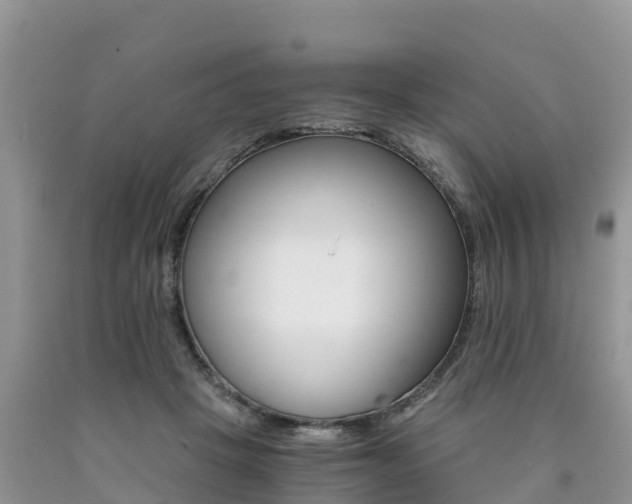 X0000090720457200707201017
