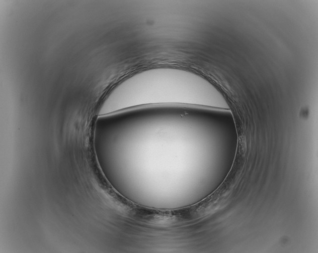 X0000090720458200707201017