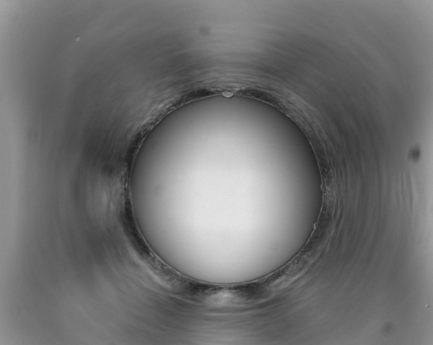 X0000090720460200707201017
