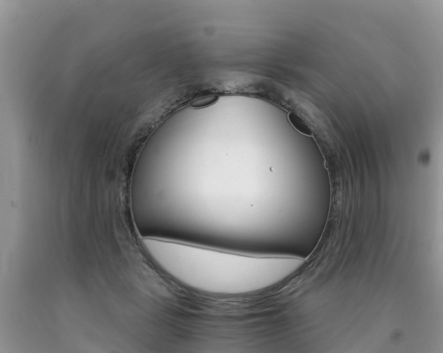 X0000090720461200707201017
