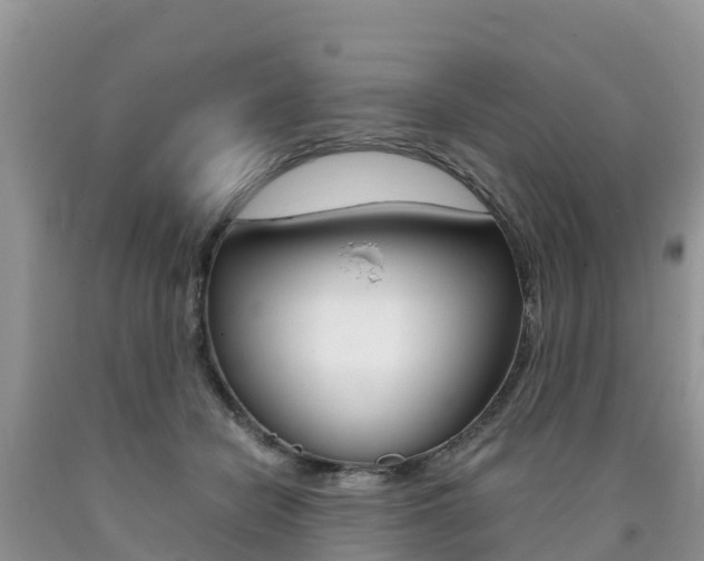 X0000090720462200707201017