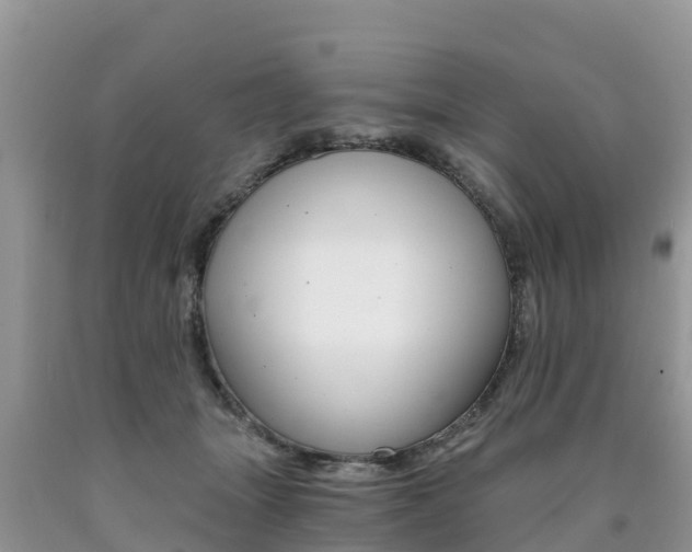 X0000090720463200707201017