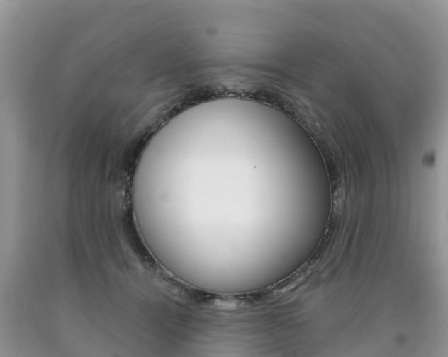 X0000090720464200707201017