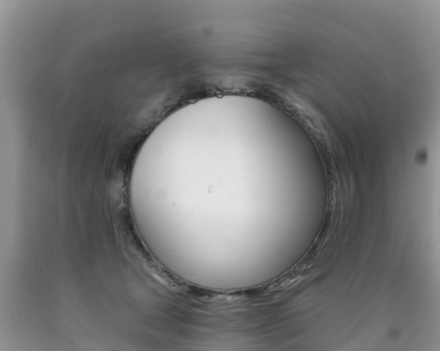 X0000090720465200707201017