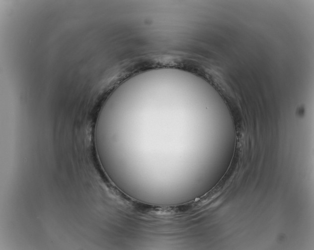 X0000090720466200707201017