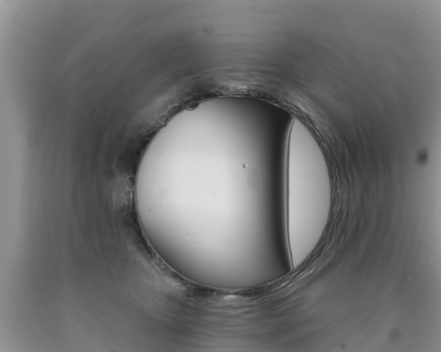 X0000090720467200707201017