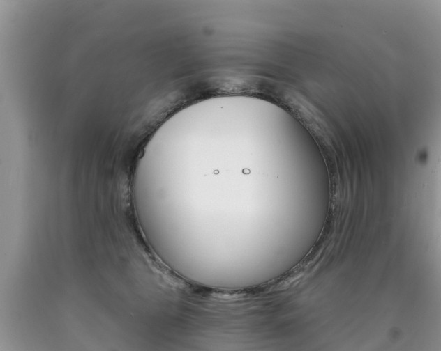 X0000090720469200707201017