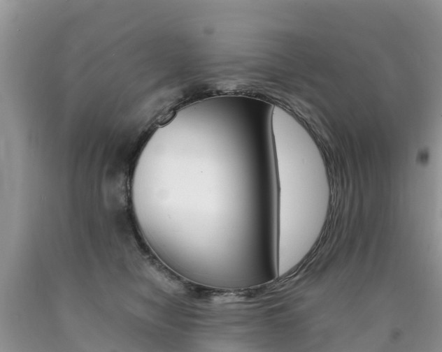 X0000090720470200707201017