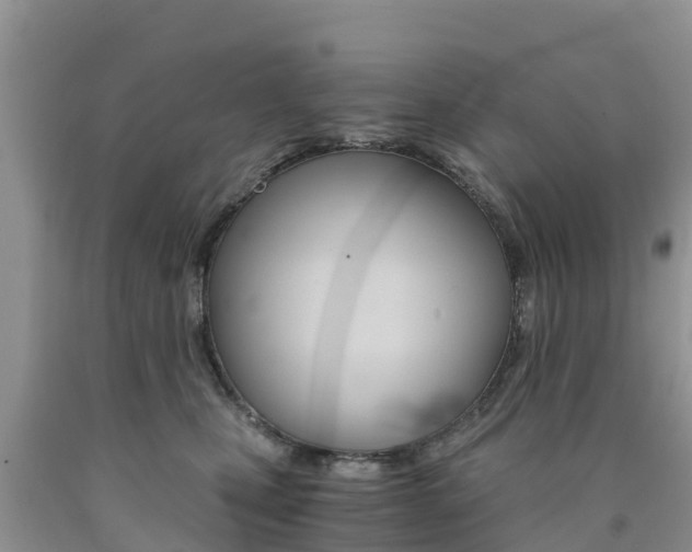 X0000090720471200707201017