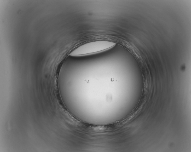 X0000090720473200707201017