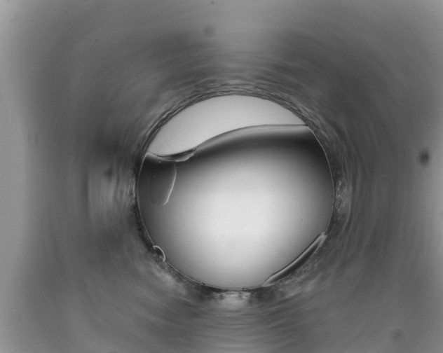 X0000090720474200707201017