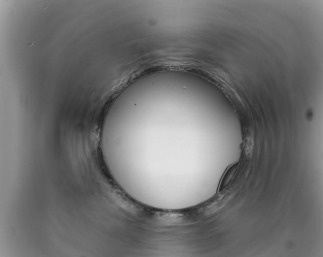 X0000090720476200707201018