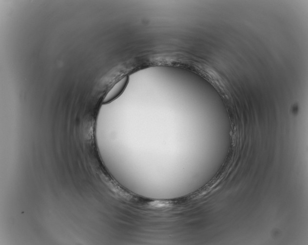 X0000090720477200707201018